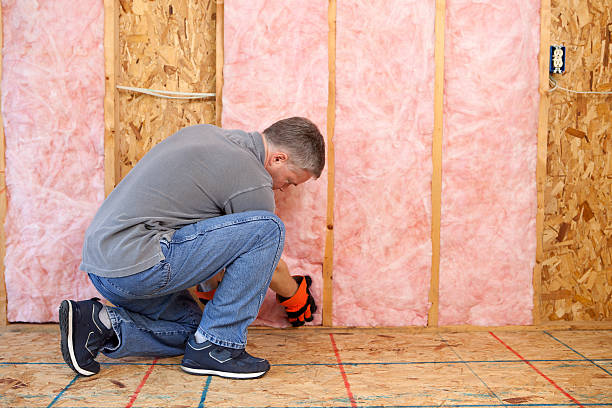 Best Insulation for New Construction  in Polk City, FL